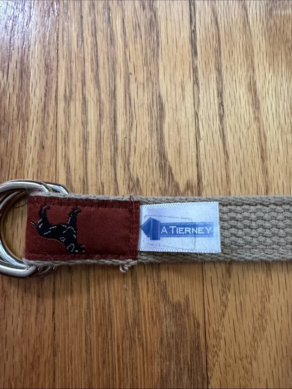 Kids Red Fabric D-Ring Belt with Dog Motif